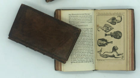 Description du Cap de Bonne-Espérance ; Ou l'on trouve tout ce qui concerne l'Histoire-Naturelle du Pays ; La Religion, les Moeurs & les Usages des ...