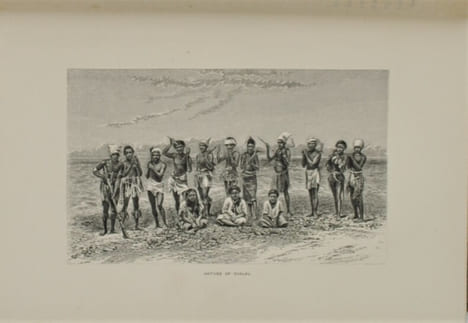 Jottings During the Cruise of H.M.S. Curacoa Among the South Sea Islands in 1865 with Numerous Illustrations and Natural History Notices. BRENCHLEY ...