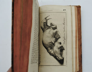 Voiage de Gautier Schouten aux Indes orientales, commencé en l'an 1658. & fini l'an 1665. Traduit du Hollandois où l'on voit plusieurs descriptions de païs, Roïaumes, Isles et villes, sièges, combats sur Terre & sur Mer, coutumes, manières, religions de divers peuples, [...]. 