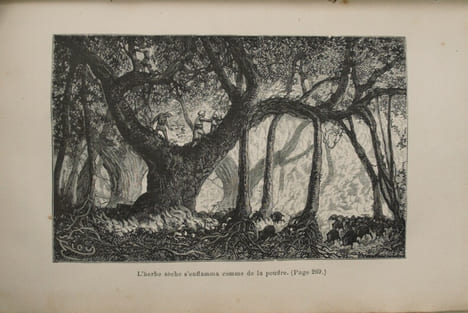 Voyage aux ruines de Golconde et à la cité des morts . JACOLLIOT , Louis