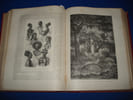 Le Tour du Monde. Nouveau Journal des Voyages et illustr&eacute; par nos plus c&eacute;l&egrave;bres artistes. 1er et 2nd. Collectif / Charton Edouard (publi&eacute; Sous La ...