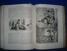 Le Tour du Monde. Nouveau Journal des Voyages. 1er et 2nd semestre. Collectif / CHARTON Edouard