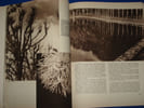ART ET MEDECINE. DEC. 1931 KOLLAR / SCHALL (Photos). COLLECTIF / FAURE E. / MAURIAC F