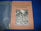 Les Flamants roses de Camargue. GALLET Etienne