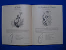 Les Animaux de Madagascar. Mammif&egrave;res. L&eacute;muriens  Insectivores  Carnivores  Rongeurs  Chiropt&egrave;res  Artiodactyle  Sir&eacute;niens. Collectif