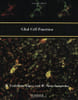 Glial Cell Function (Paperback). B. Castellano Lopez  M. Nieto-Sampedro