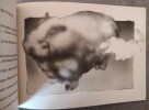 Contes de l'extravagante nature.- Illustrations d'Evelyne CRISMER.. ORLY, Huguette.