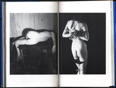 The Works of Nobuyoshi Araki - n° 2. BODYSCAPES