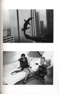 The Works of Nobuyoshi Araki - n° 20. SENTIMENTAL MAY