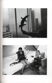 The Works of Nobuyoshi Araki - n° 20. SENTIMENTAL MAY
