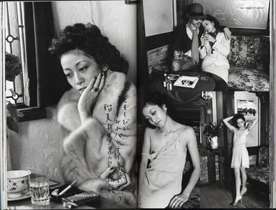 The Works of Nobuyoshi Araki - n° 7. SENTIMENTAL TRAVELOGUE