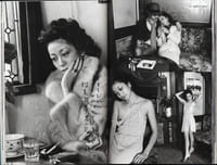 The Works of Nobuyoshi Araki - n° 7. SENTIMENTAL TRAVELOGUE
