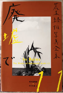 The Works of Nobuyoshi Araki - n° 11. IN RUINS