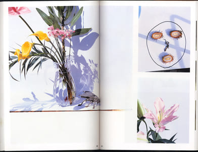 The Works of Nobuyoshi Araki - n° 11. IN RUINS