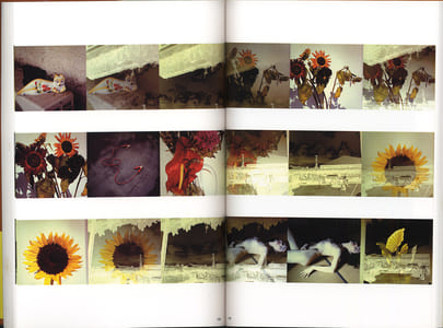 The Works of Nobuyoshi Araki - n° 11. IN RUINS