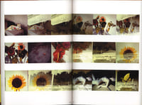 The Works of Nobuyoshi Araki - n° 11. IN RUINS