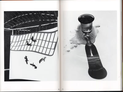 The Works of Nobuyoshi Araki - n° 11. IN RUINS
