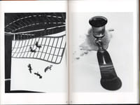 The Works of Nobuyoshi Araki - n° 11. IN RUINS