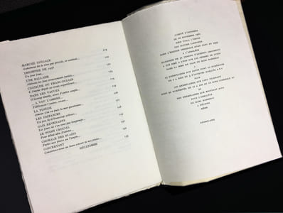 RIEN VOILA L'ORDRE (édition typographique)