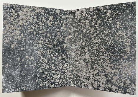 DIE UNGEBORENEN (Les non-nés), Yvon Lambert 2002.. KIEFER, Anselm
