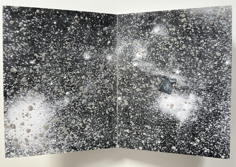 DIE UNGEBORENEN (Les non-nés), Yvon Lambert 2002.. KIEFER, Anselm