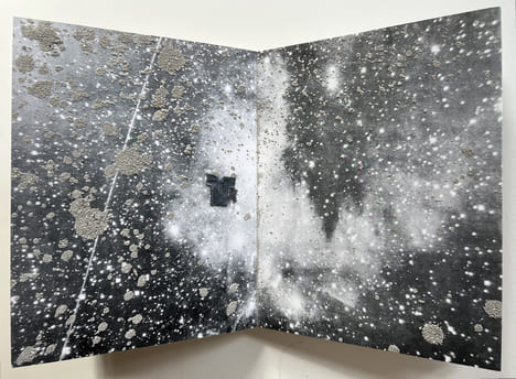 DIE UNGEBORENEN (Les non-nés), Yvon Lambert 2002.. KIEFER, Anselm
