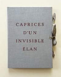 CAPRICES D'UN INVISIBLE ÉLAN