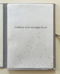 CAPRICES D'UN INVISIBLE ÉLAN