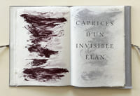 CAPRICES D'UN INVISIBLE ÉLAN