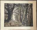 Cerfs et biches dans un sous-bois l'hiver.. FORËT. — BAUDIER (Paul).