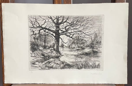 Arbres l'hiver en bordure d'eau.