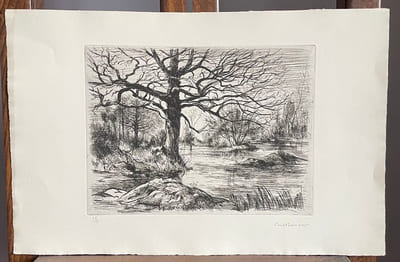Arbres l'hiver en bordure d'eau.