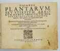 Eicones plantarum, seu stirpium, arborum nempe, fructicum, herbarum, fructuum, lignorum, radicum, omnis generis ; tam inquilinorum, quàm exoticorum.. ...