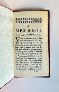 La Ville de Paris en vers burlesques. 