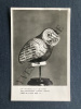 CARTE DE VOEUX ADRESSEE PAR ANDRE DUNOYER DE SEGONZAC A ANDRE DIGNIMONT. DUNOYER DE SEGONZAC