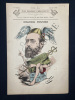 LES HOMMES D'AUJOURD'HUI-N°239-MAURICE ROUVIER. 