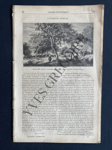 MAGASIN PITTORESQUE-TOME XXXIII-SEPTEMBRE 1865