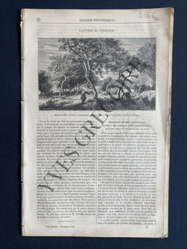 MAGASIN PITTORESQUE-TOME XXXIII-SEPTEMBRE 1865. undefined