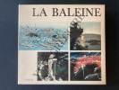 LA BALEINE. ROLAND BAUCHOT