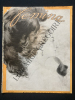 FEMINA-N°243-1 MARS 1911. 