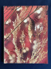 REALITES-N°180-JANVIER 1961. 