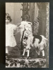 PASSAGES Sous l'objectif d'Anne Catherine-CATALOGUE D'EXPOSITION. 