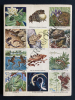 LES BATRACIENS GRENOUILLES-CRAPAUDS-SALAMANDRES. 