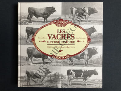 LES VACHES ONT UNE HISTOIRE NAISSANCE DES RACES BOVINES