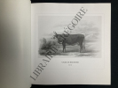 LES VACHES ONT UNE HISTOIRE NAISSANCE DES RACES BOVINES. BERNARD DENIS-EMILE BAUDEMENT