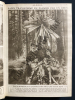 LE MIROIR-RELIURE-N°226 DU 24 MARS 1918 AU N°295 DU 20 JUILLET 1919. 