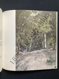 L'UNIVERS DE THEODORE ROUSSEAU