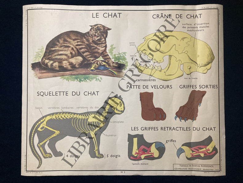 AFFICHE ROSSIGNOL-LE CHAT-LE SINGE. 