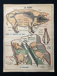 TABLEAU SCOLAIRE-N°5 LE PORC-N°6 LE CHAT