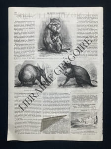 LE MONDE ILLUSTRE-N°647-4 SEPTEMBRE 1869